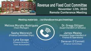 Revenue And Fixed Cost Committee - 11.12.2020